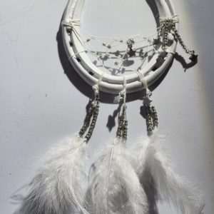 Horse Shoe Dream Catcher