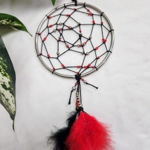 Dream Catcher